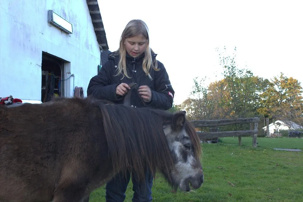 Farm stay Stutteri Skandihest Apartments Billund Denmark