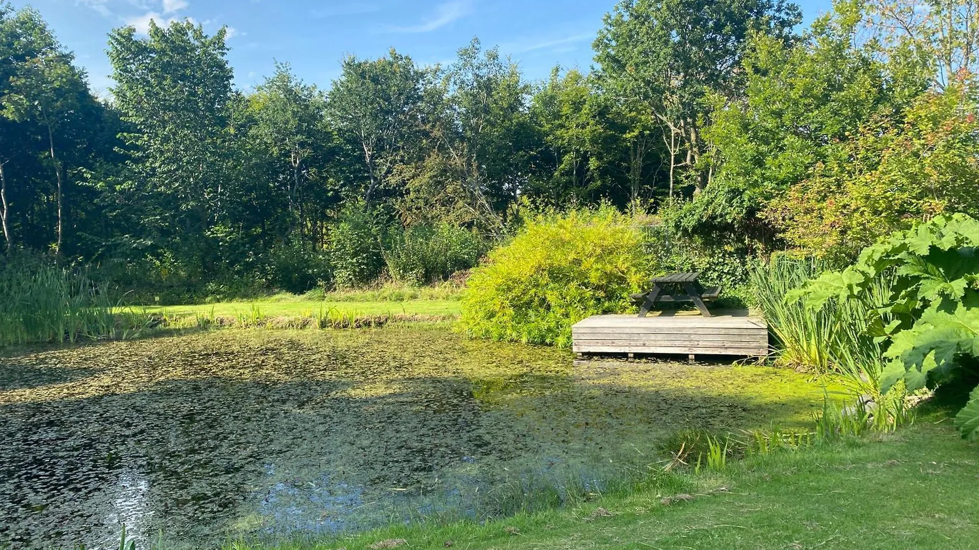 Feriegård Stutteri Skandihest Apartments Billund Danmark